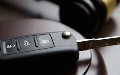 Got a Traffic Ticket in Ontario? Here Are Your Options